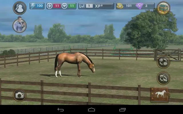 My Horse android App screenshot 7